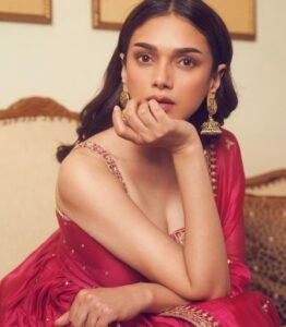 Read more about the article Will Aditi Rao Hydari soon be doing the crossover?