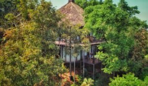 Read more about the article Six reasons why Forest Hills Tala Resorts in Raigad can be called the ‘poster Homestay’ for eco-friendly travel…
