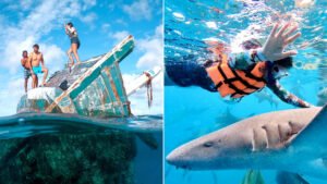 Read more about the article Sameeksha Sud Swims With The Sharks In Maldives