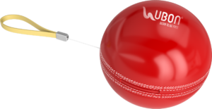 Read more about the article Howzzat! UBON’s BT – 210 cricket ball truly wireless earbuds is here!
