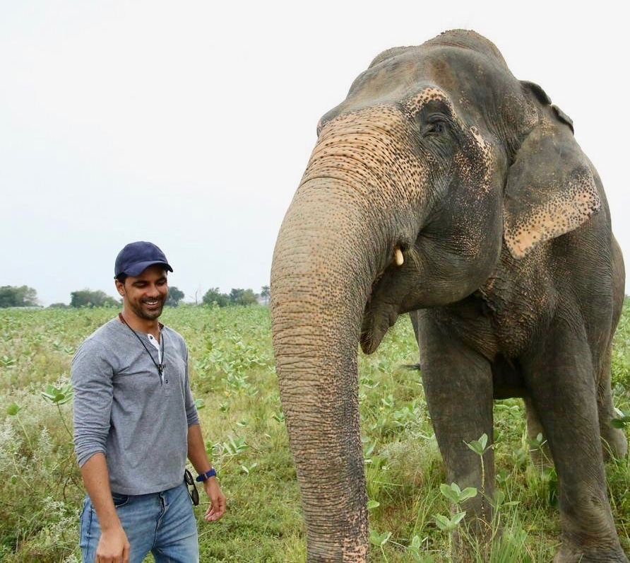 You are currently viewing Instead of getting Bappa home, I am raising money for an NGO that works towards the cause of aging and injured elephants: Anuj Sachdeva on Ganesh Chaturthi